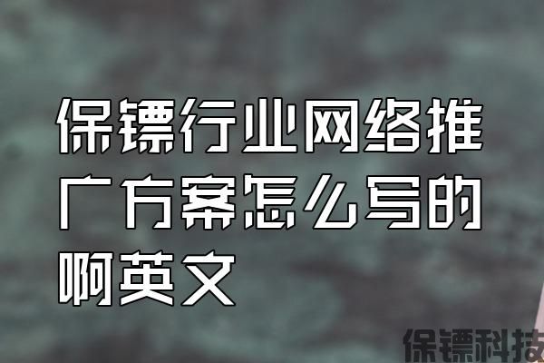 保鏢行業(yè)網(wǎng)絡(luò)推廣方案怎么寫的啊英文