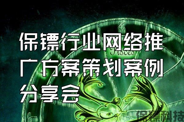 保鏢行業(yè)網絡推廣方案策劃案例分享會