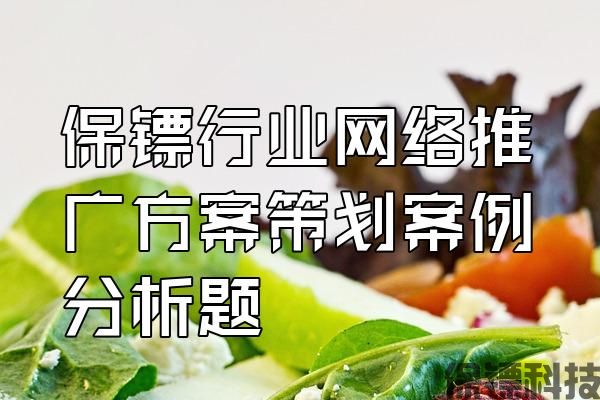 保鏢行業(yè)網(wǎng)絡推廣方案策劃案例分析題