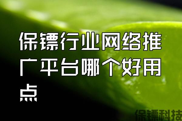 保鏢行業(yè)網(wǎng)絡(luò)推廣平臺哪個好用點(diǎn)