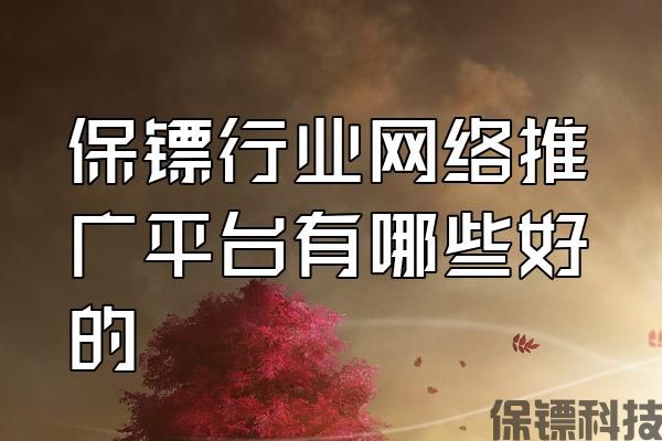 保鏢行業(yè)網(wǎng)絡推廣平臺有哪些好的