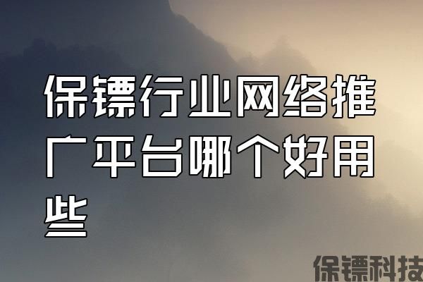 保鏢行業(yè)網(wǎng)絡(luò)推廣平臺哪個(gè)好用些