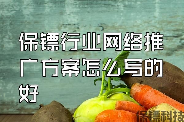 保鏢行業(yè)網(wǎng)絡(luò)推廣方案怎么寫的好