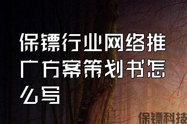 保鏢行業(yè)網(wǎng)絡(luò)推廣方案策劃書(shū)怎么寫(xiě)