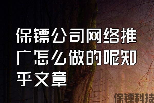 保鏢公司網(wǎng)絡推廣怎么做的呢知乎文章
