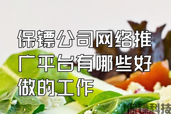 保鏢公司網(wǎng)絡推廣平臺有哪些好做的工作