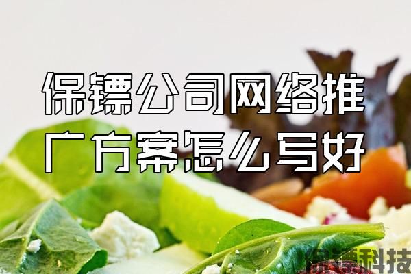 保鏢公司網(wǎng)絡(luò)推廣方案怎么寫好