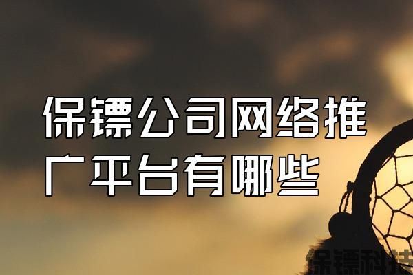 保鏢公司網(wǎng)絡推廣平臺有哪些