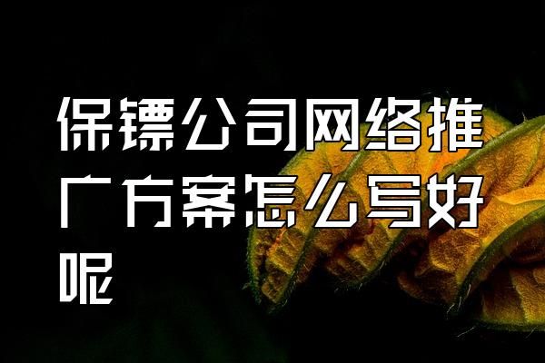 保鏢公司網(wǎng)絡(luò)推廣方案怎么寫好呢
