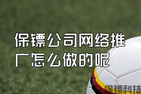 保鏢公司網(wǎng)絡推廣怎么做的呢