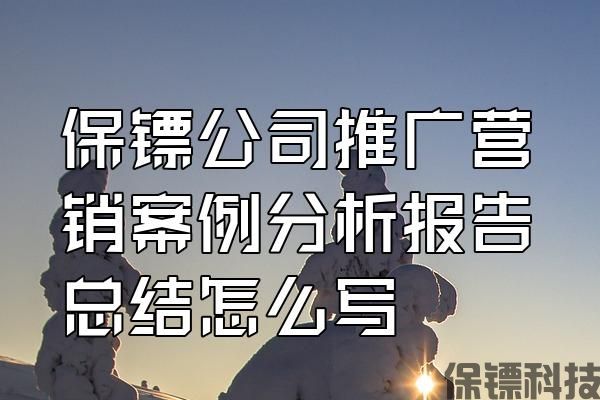 保鏢公司推廣營銷案例分析報(bào)告總結(jié)怎么寫