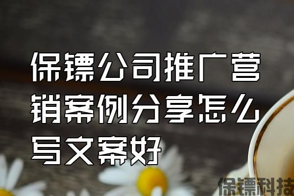保鏢公司推廣營銷案例分享怎么寫文案好