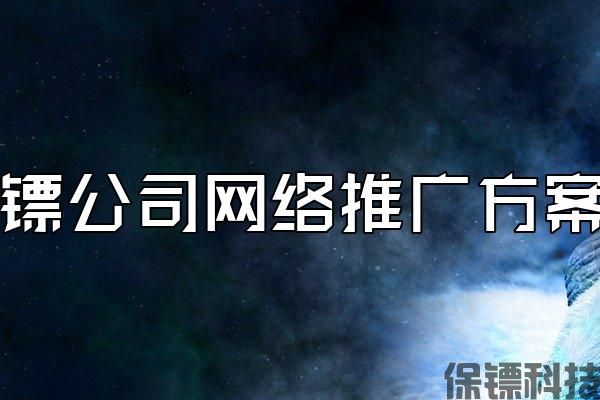 保鏢公司網(wǎng)絡推廣方案