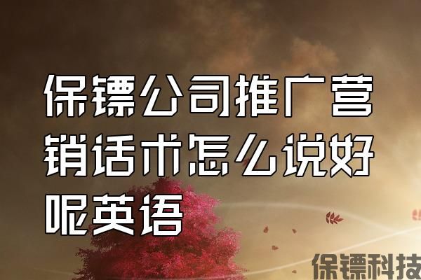 保鏢公司推廣營(yíng)銷話術(shù)怎么說(shuō)好呢英語(yǔ)