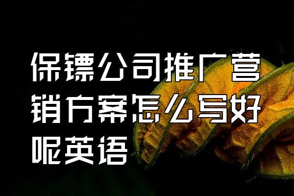 保鏢公司推廣營銷方案怎么寫好呢英語