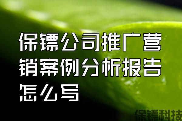 保鏢公司推廣營(yíng)銷(xiāo)案例分析報(bào)告怎么寫(xiě)