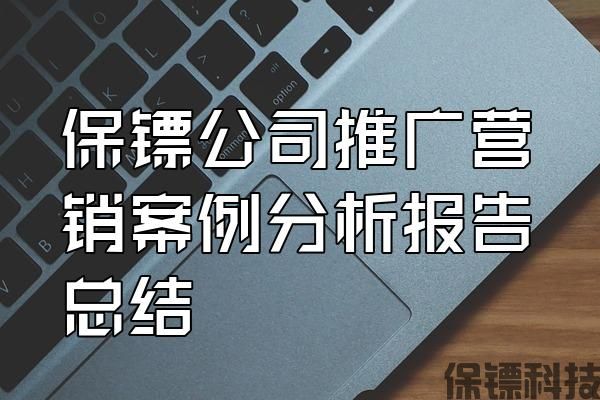 保鏢公司推廣營銷案例分析報(bào)告總結(jié)