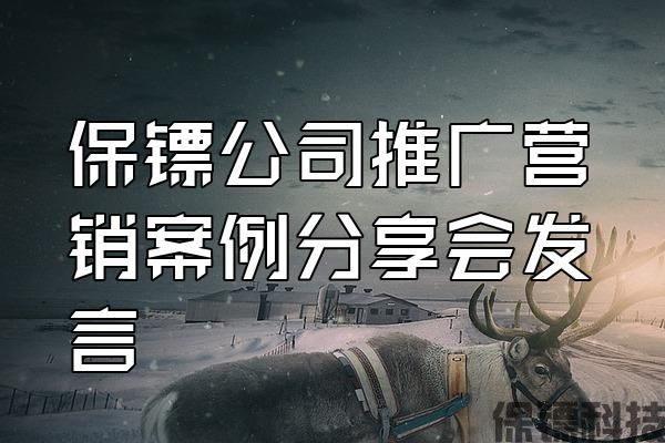 保鏢公司推廣營銷案例分享會(huì)發(fā)言