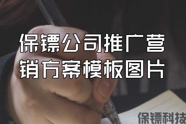 保鏢公司推廣營(yíng)銷方案模板圖片
