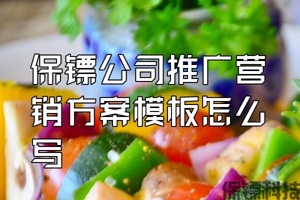保鏢公司推廣營(yíng)銷方案模板怎么寫