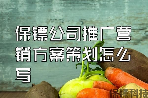 保鏢公司推廣營(yíng)銷方案策劃怎么寫