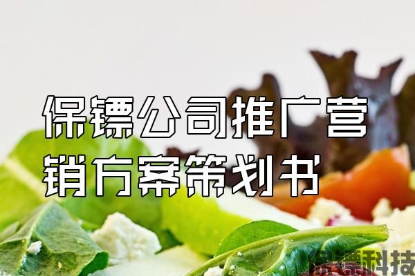 保鏢公司推廣營(yíng)銷方案策劃書