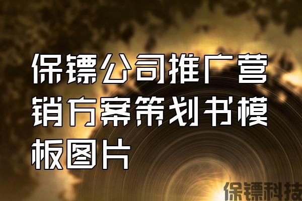 保鏢公司推廣營(yíng)銷(xiāo)方案策劃書(shū)模板圖片